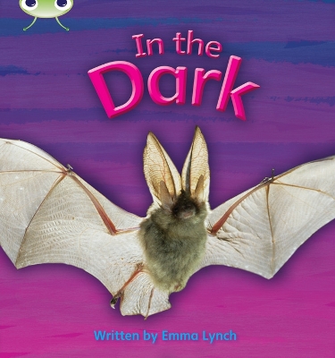 Book cover for Bug Club Phonics - Phase 3 Unit 10: In the Dark