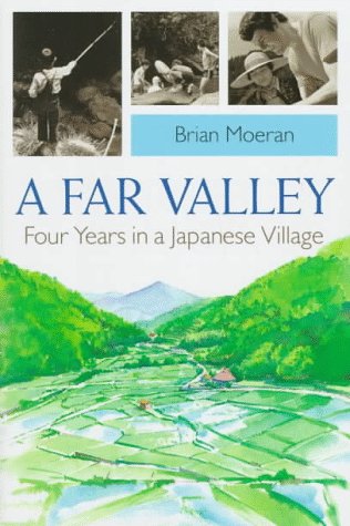 Book cover for A Far Valley