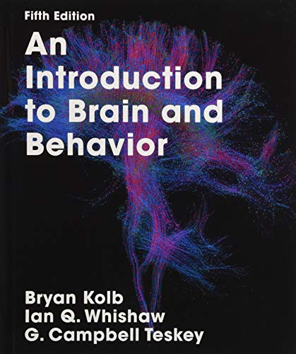 Book cover for An Introduction to Brain and Behavior