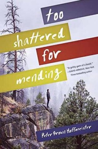 Cover of Too Shattered For Mending