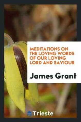 Cover of Meditations on the Loving Words of Our Loving Lord and Saviour