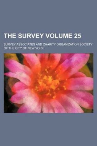 Cover of The Survey Volume 25