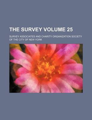 Book cover for The Survey Volume 25