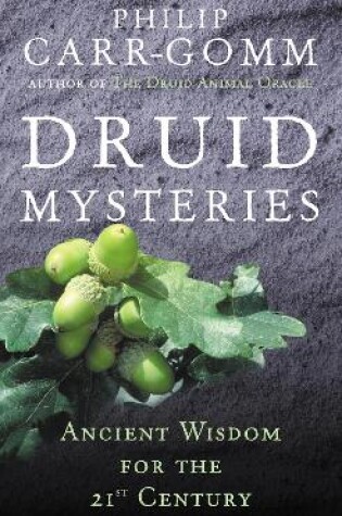 Cover of Druid Mysteries