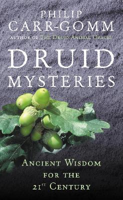 Book cover for Druid Mysteries
