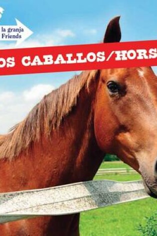 Cover of Los Caballos / Horses