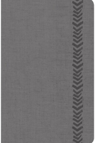 Cover of CSB Essential Teen Study Bible, Personal Size, Gray LeatherTouch