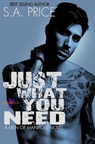 Cover of Just What You Need