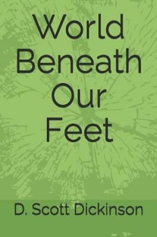 Cover of World Beneath Our Feet