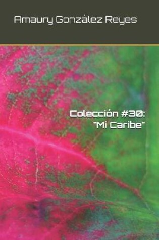 Cover of Coleccion #30