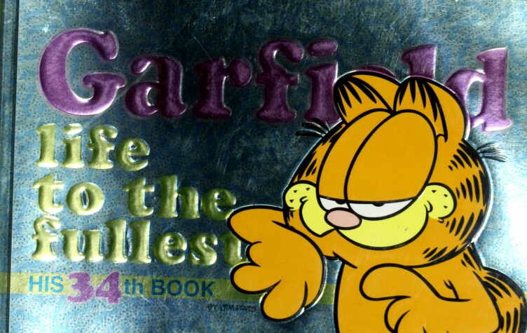 Book cover for Garfield #34 Life to the Fullest