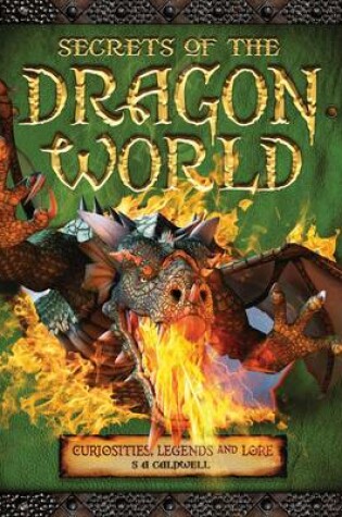 Cover of Secrets of the Dragon World