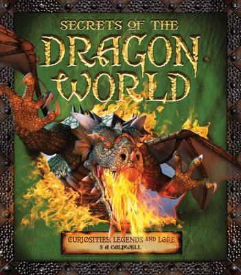 Book cover for Secrets of the Dragon World