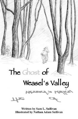 Book cover for The Ghost of Weasel's Valley