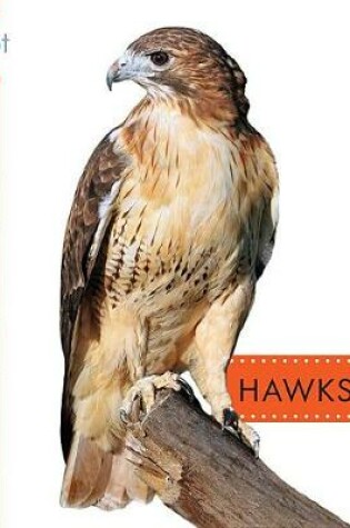 Cover of Hawks