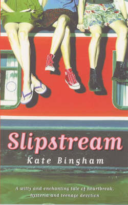 Book cover for Slipstream