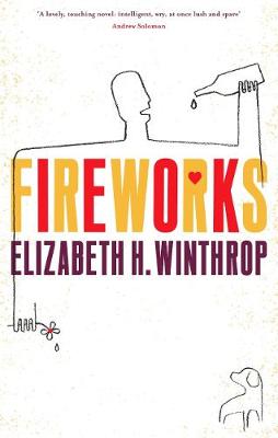 Book cover for Fireworks