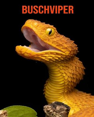 Book cover for Buschviper