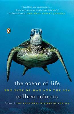 Book cover for The Ocean of Life