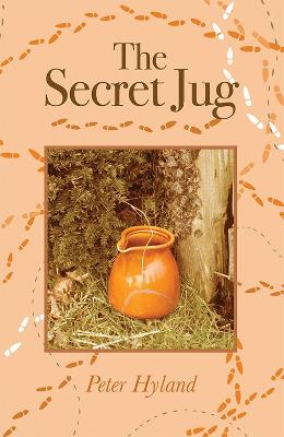 Book cover for The Secret Jug