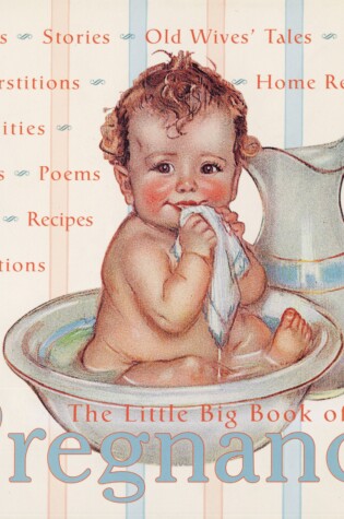 Cover of The Little Big Book of Pregnancy