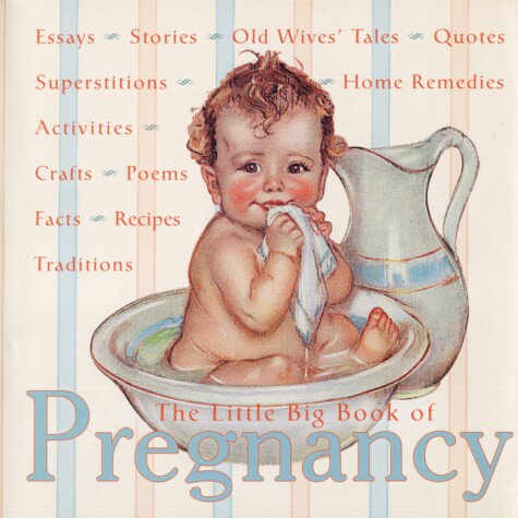 Cover of The Little Big Book of Pregnancy