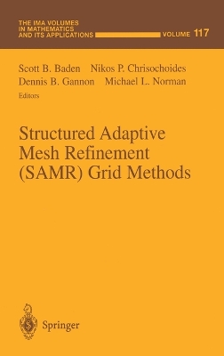 Book cover for Structured Adaptive Mesh Refinement (SAMR) Grid Methods