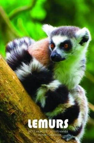 Cover of Lemurs Note Monthly 2020 Planner 12 Month Calendar