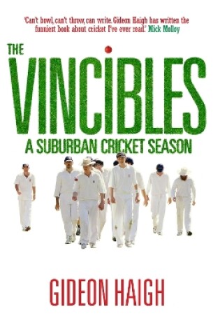 Cover of The Vincibles