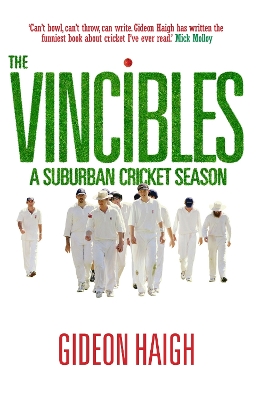 Book cover for The Vincibles