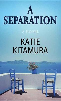 Book cover for A Separation