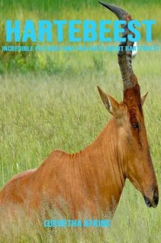 Cover of Hartebeest