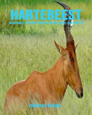 Book cover for Hartebeest