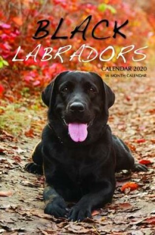 Cover of Black Labradors Calendar 2020