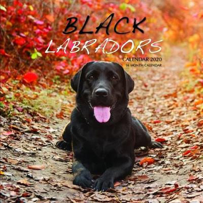 Book cover for Black Labradors Calendar 2020