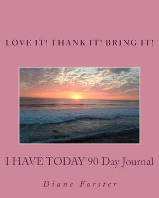 Book cover for I Have Today 90 Day Journal