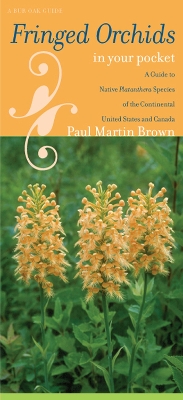 Cover of Fringed Orchids in Your Pocket