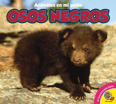 Cover of Osos Negros