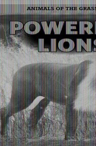 Cover of Powerful Lions