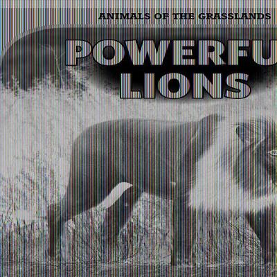 Cover of Powerful Lions