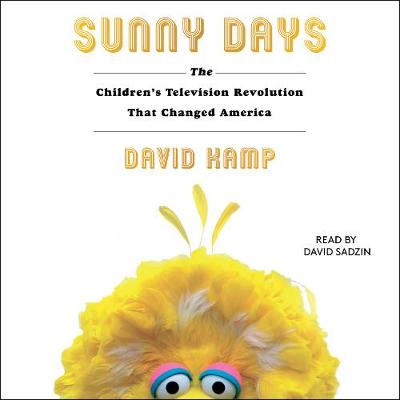 Book cover for Sunny Days