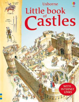 Book cover for Little Book of Castles