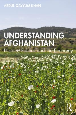 Book cover for Understanding Afghanistan