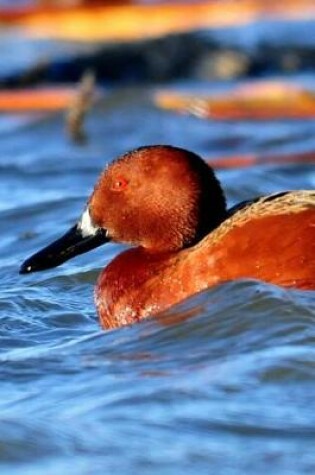 Cover of Cinnamon Teal Duck (Anas Cyanoptera) Journal