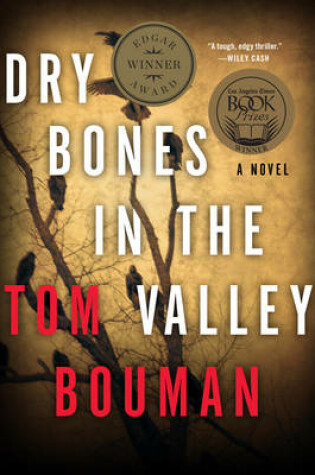 Cover of Dry Bones in the Valley