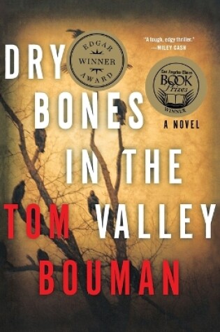 Cover of Dry Bones in the Valley