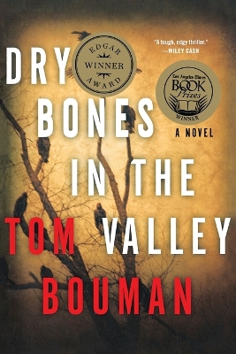 Book cover for Dry Bones in the Valley
