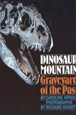 Cover of Dinosaur Mountain