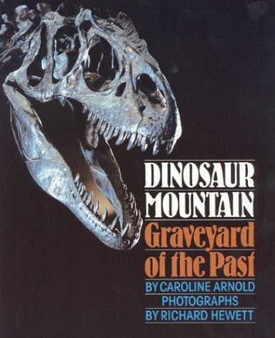 Book cover for Dinosaur Mountain