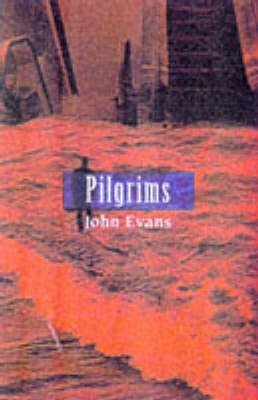 Book cover for Pilgrims